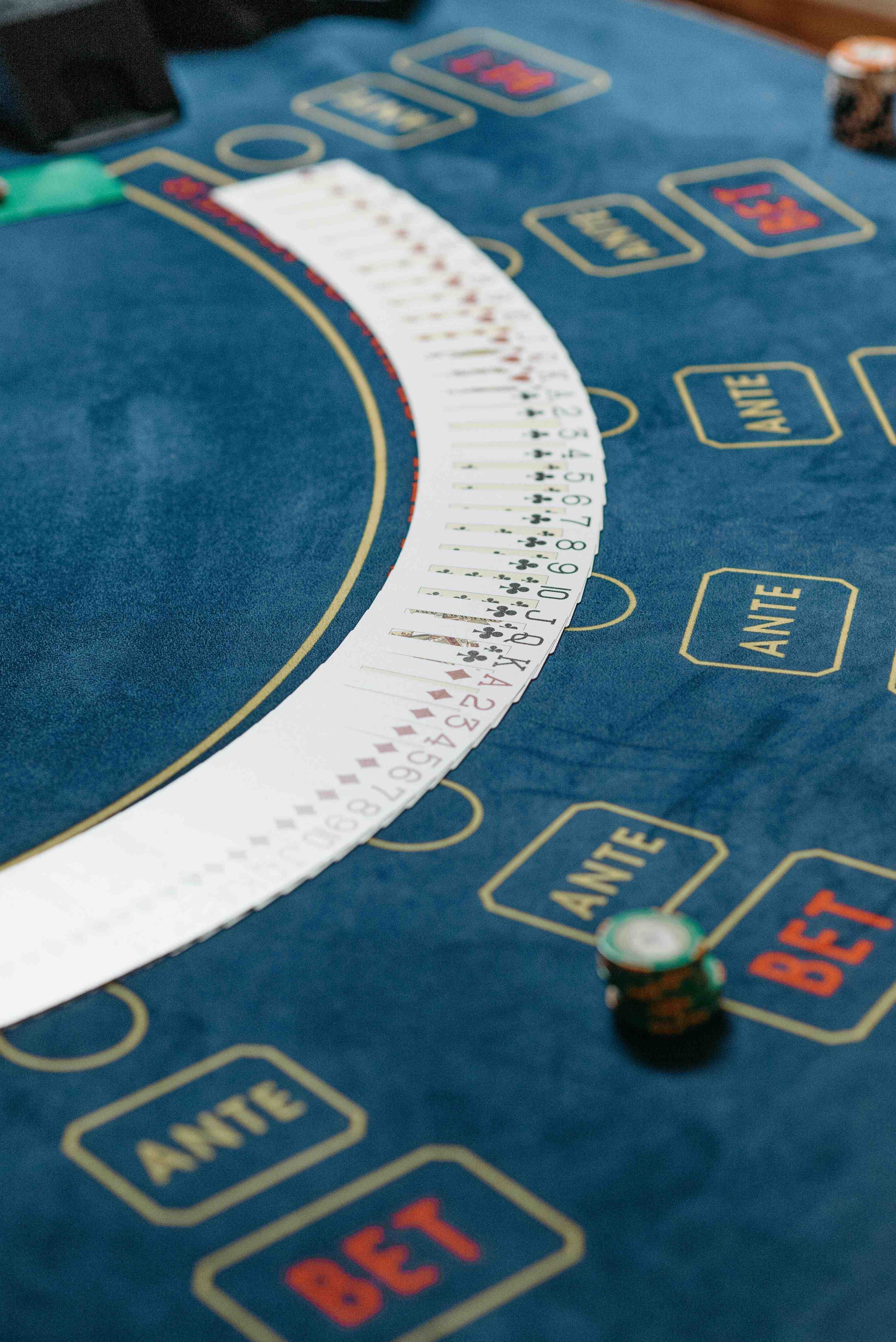 Privacy guidance and account safety for Fortune Tree users on app 13